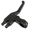 Dual brake lever